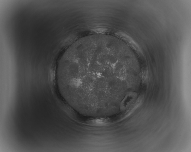 X0000102300365200808011407