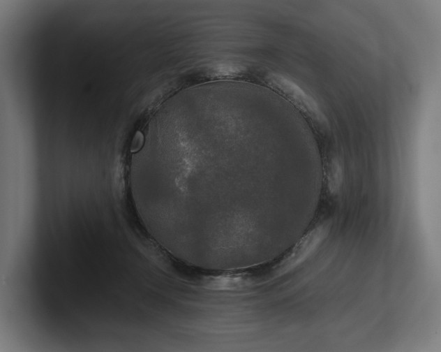 X0000102300366200808011407