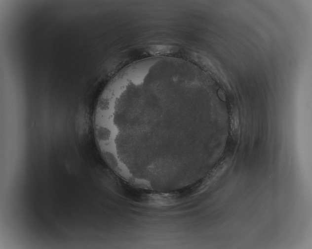 X0000102300367200808011407