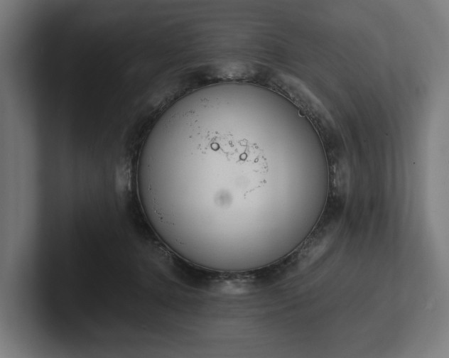 X0000102300368200808011407