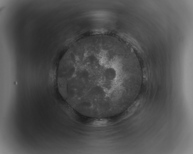 X0000102300369200808011407