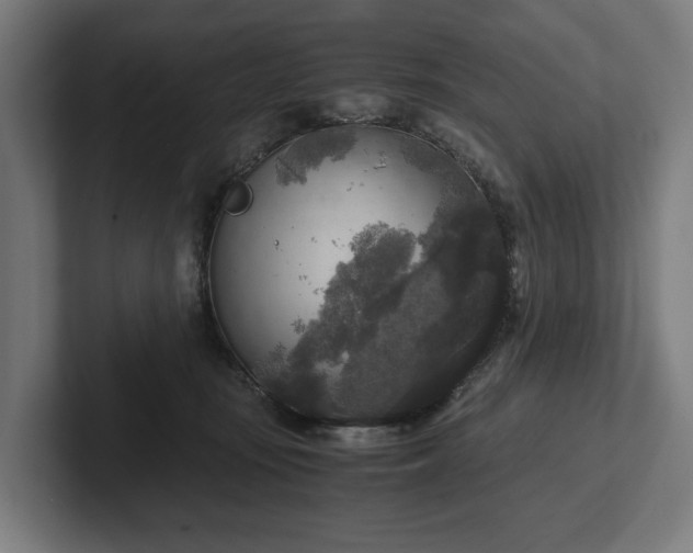 X0000102300371200808011407