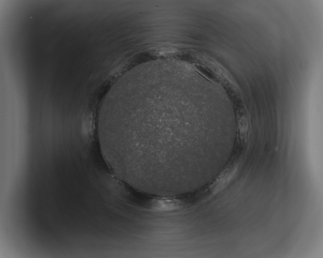 X0000102300372200808011407