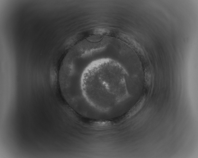 X0000102300375200808011407