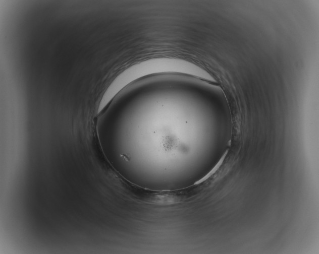 X0000102300376200808011407