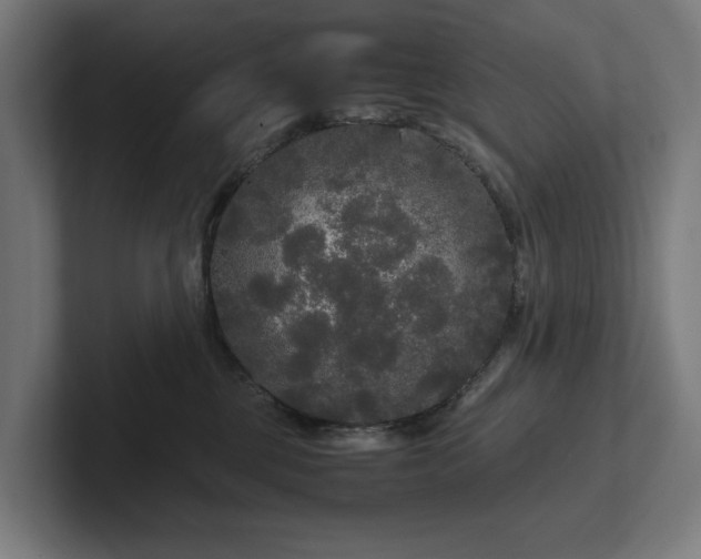 X0000102300377200808011407