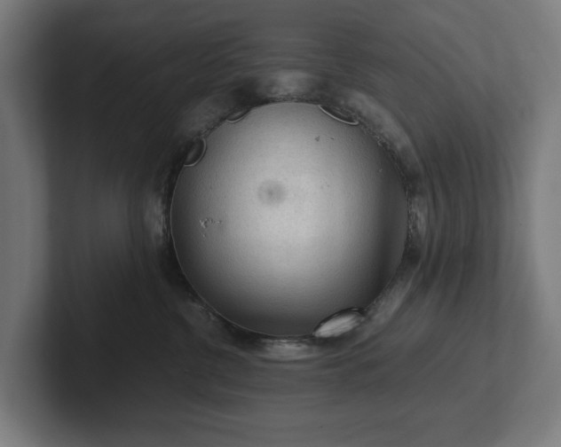 X0000102300380200808011407