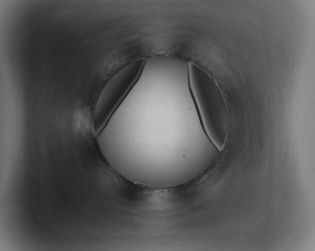 X0000102300384200808011407