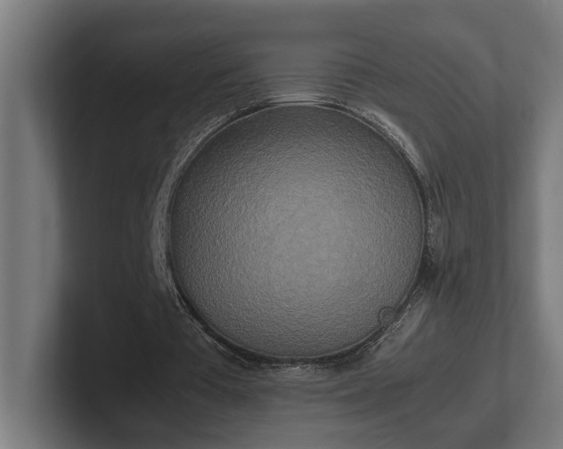 X0000102300385200808011407