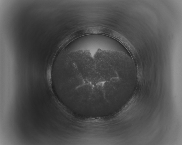 X0000102300386200808011407