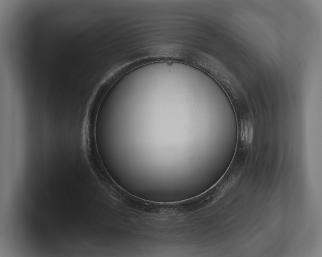 X0000102300388200808011407