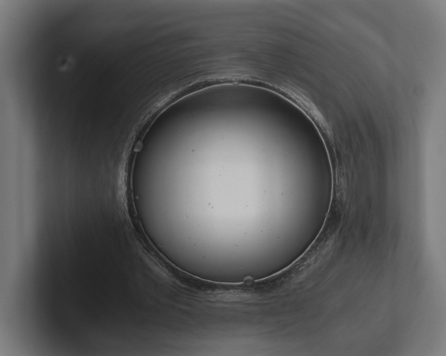 X0000102300389200808011407