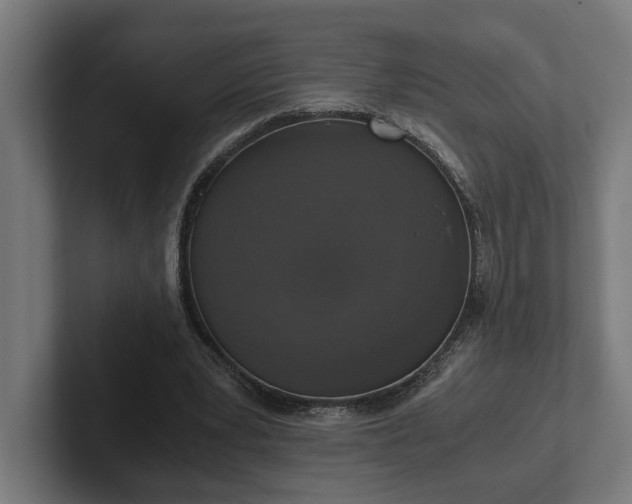 X0000102300391200808011407