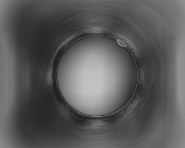 X0000102300392200808011407