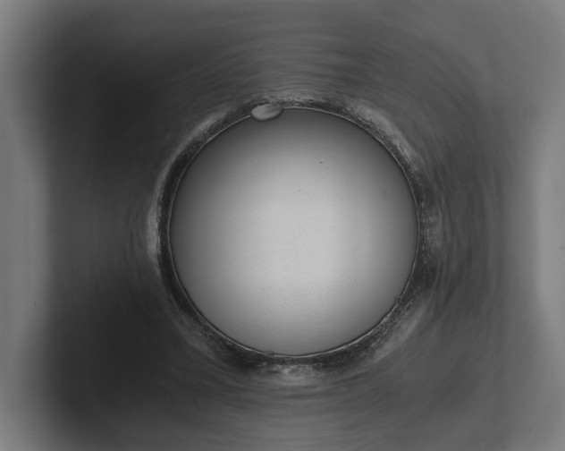 X0000102300395200808011407