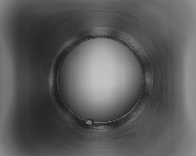 X0000102300396200808011407