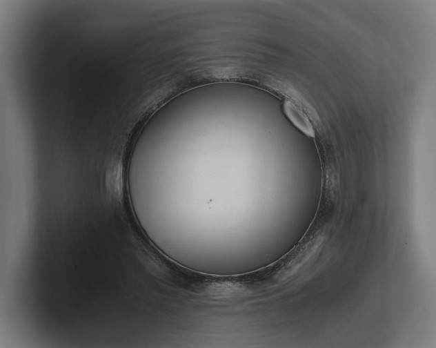 X0000102300397200808011407