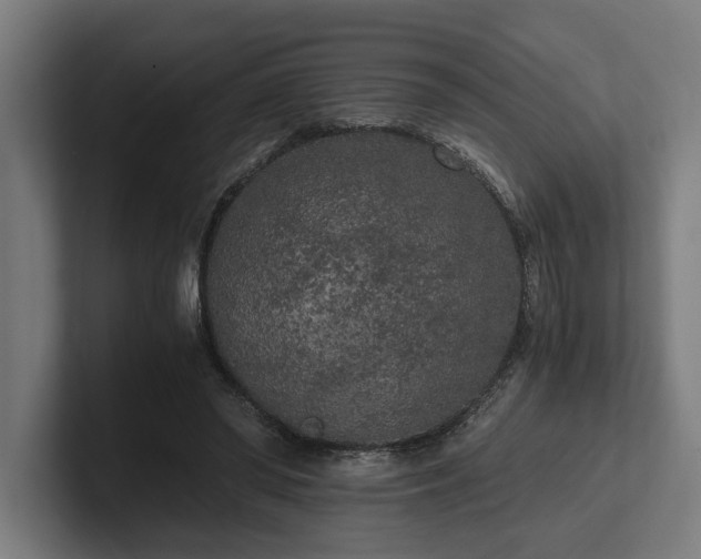 X0000102300398200808011407