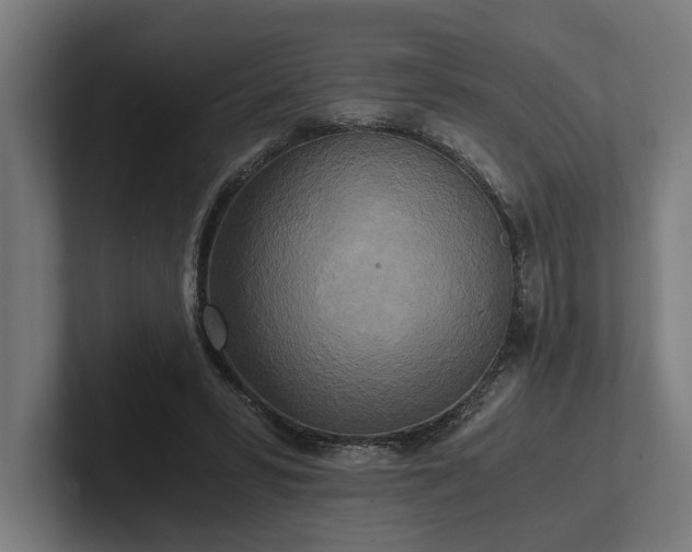 X0000102300399200808011407