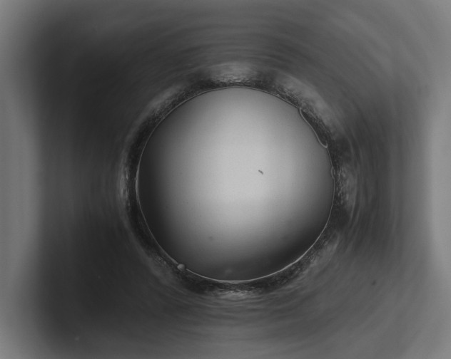 X0000102300400200808011407