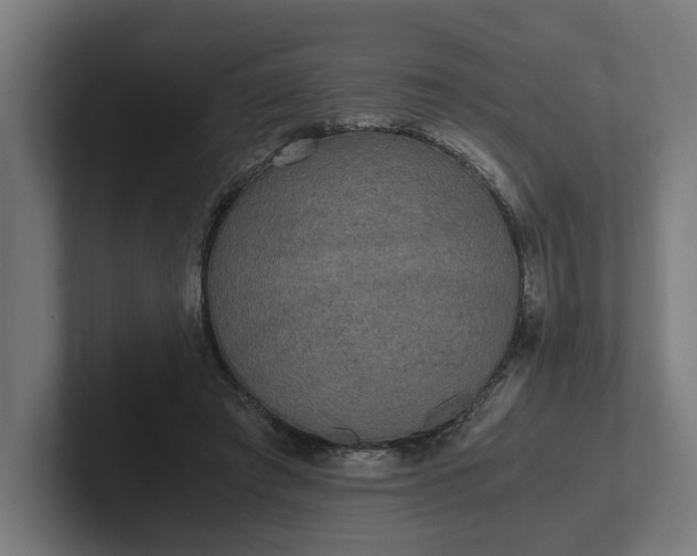 X0000102300401200808011407