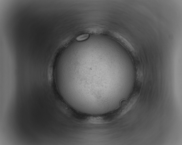 X0000102300403200808011407