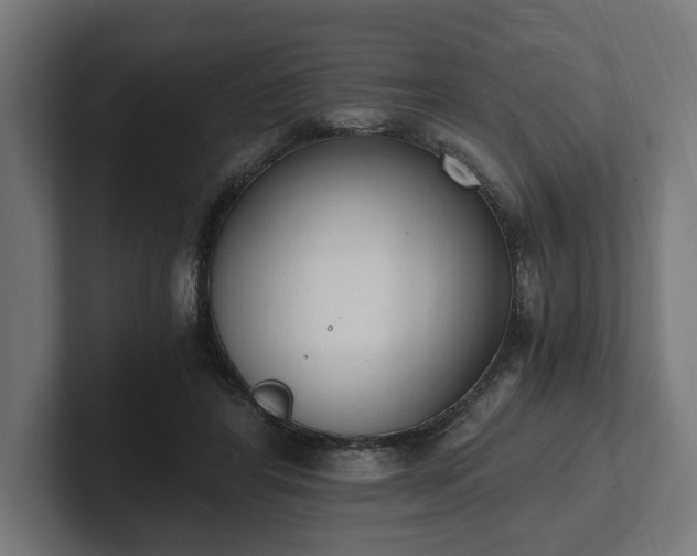 X0000102300404200808011407