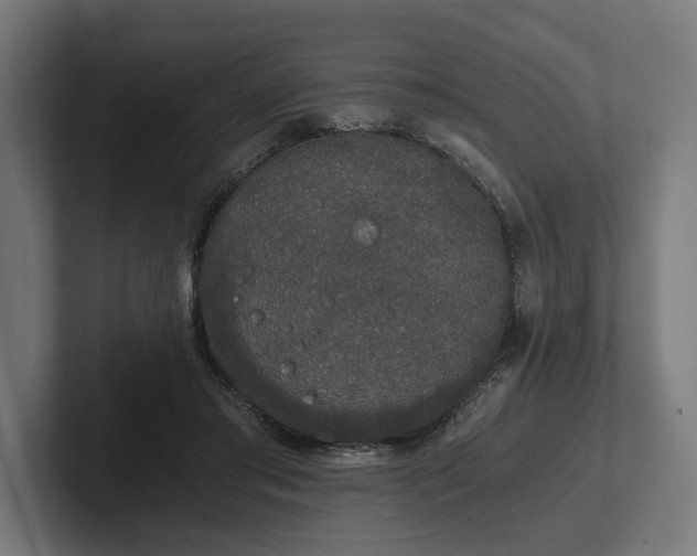 X0000102300405200808011407