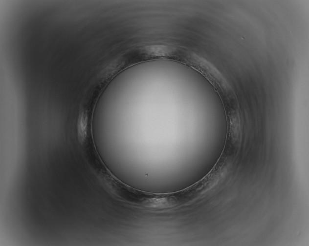 X0000102300406200808011407