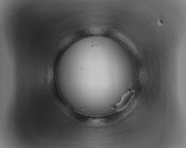 X0000102300407200808011407