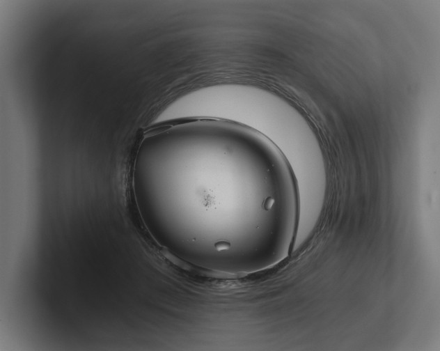 X0000102300409200808011407