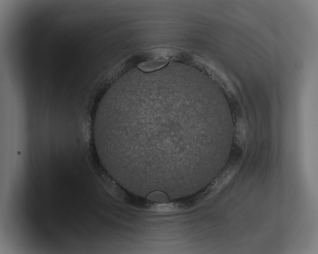 X0000102300413200808011407