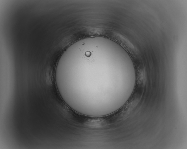 X0000102300414200808011406