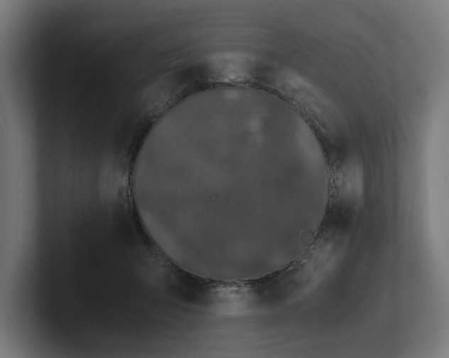 X0000102300415200808011406