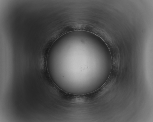 X0000102300416200808011406