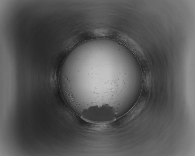 X0000102300418200808011406