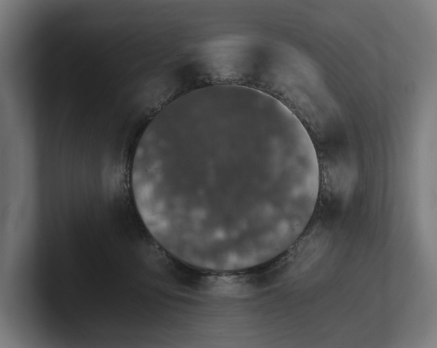 X0000102300419200808011406