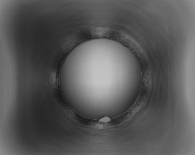 X0000102300420200808011406