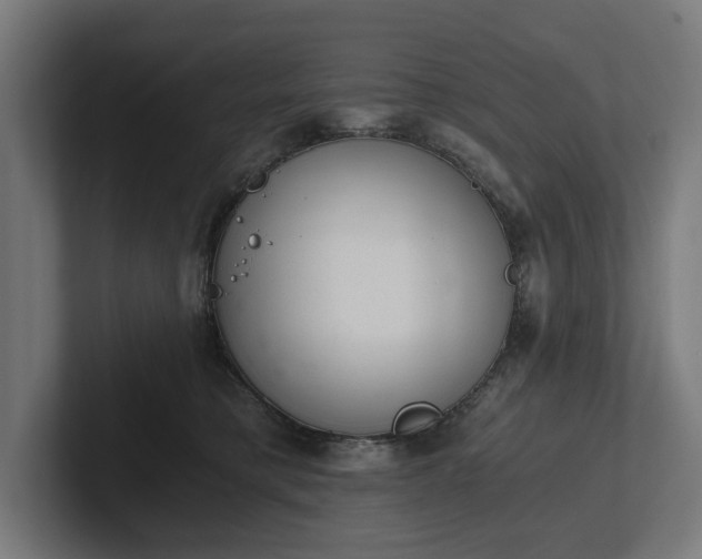 X0000102300421200808011406