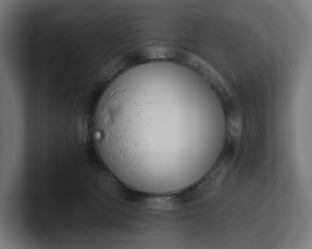 X0000102300422200808011406