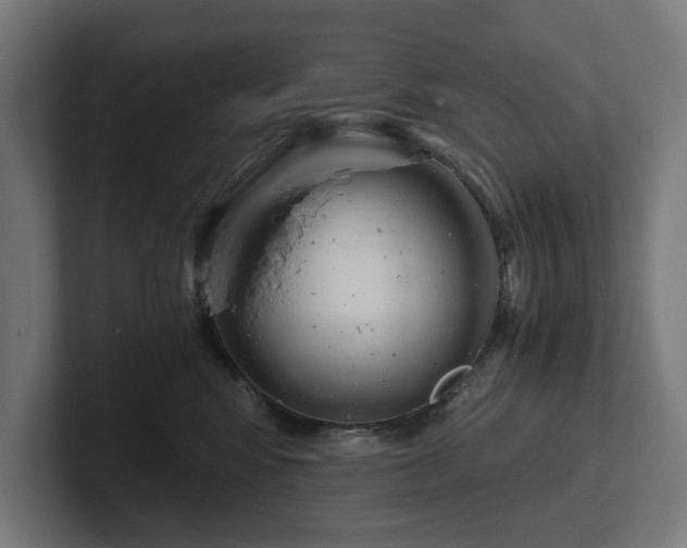 X0000102300424200808011406