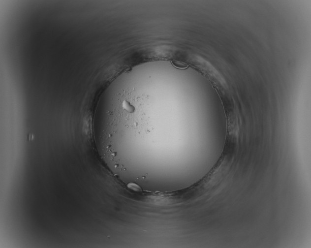 X0000102300425200808011406