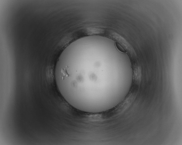 X0000102300426200808011406