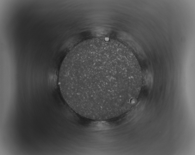 X0000102300427200808011406