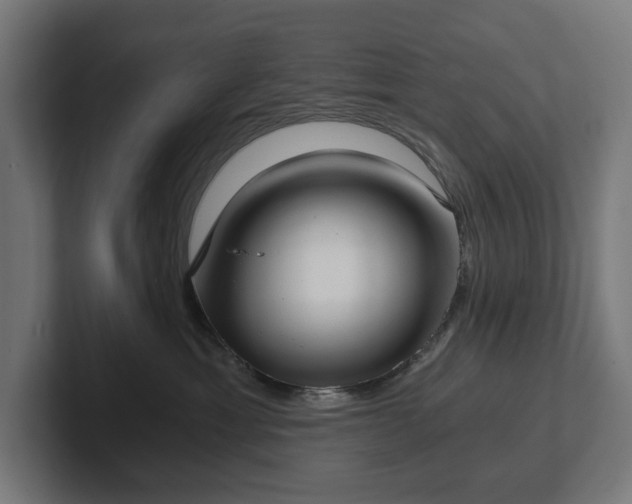 X0000102300429200808011406