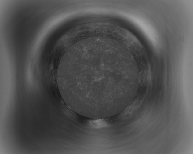 X0000102300431200808011406