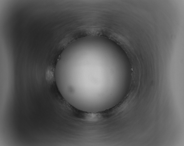 X0000102300432200808011406