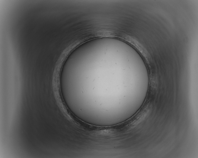 X0000102300433200808011406