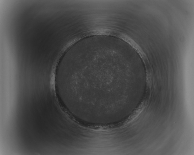 X0000102300434200808011406