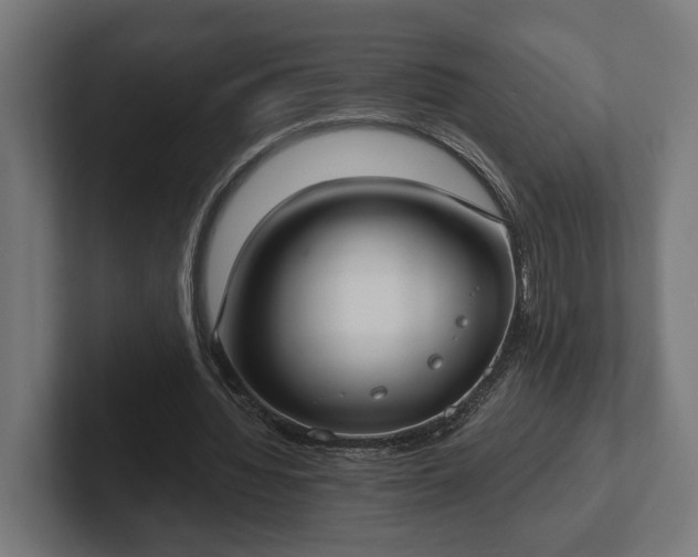 X0000102300436200808011406